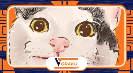 How Meme Culture Shapes Political Discourse