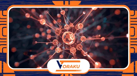 How Informal Social Rules Control Public Behavior